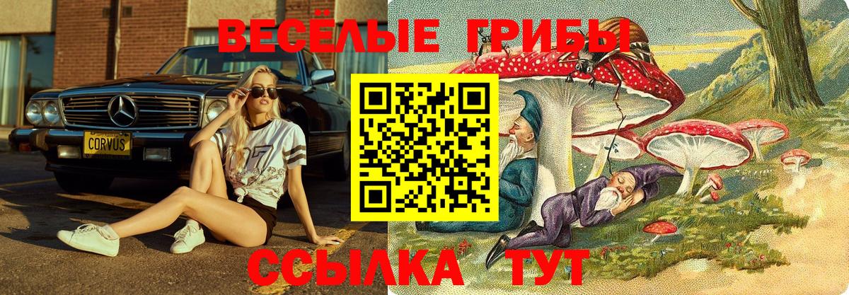 Псилоцибиновые грибы мицелий  Галлюциногенные грибы MAGIC MUSHROOMS  Вход с VPN  Евпатория 