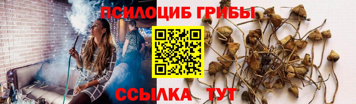 Галлюциногенные грибы прущие грибы Евпатория